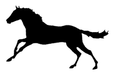 pets-show